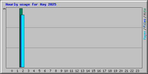 Hourly usage for May 2025