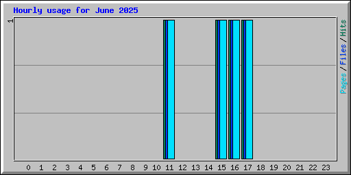Hourly usage for June 2025