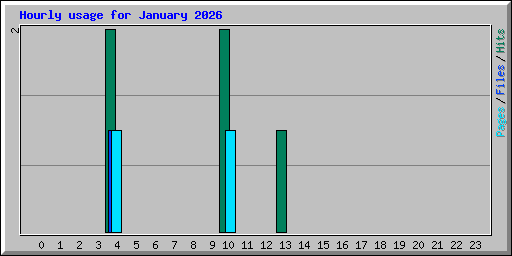 Hourly usage for January 2026