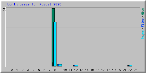 Hourly usage for August 2026